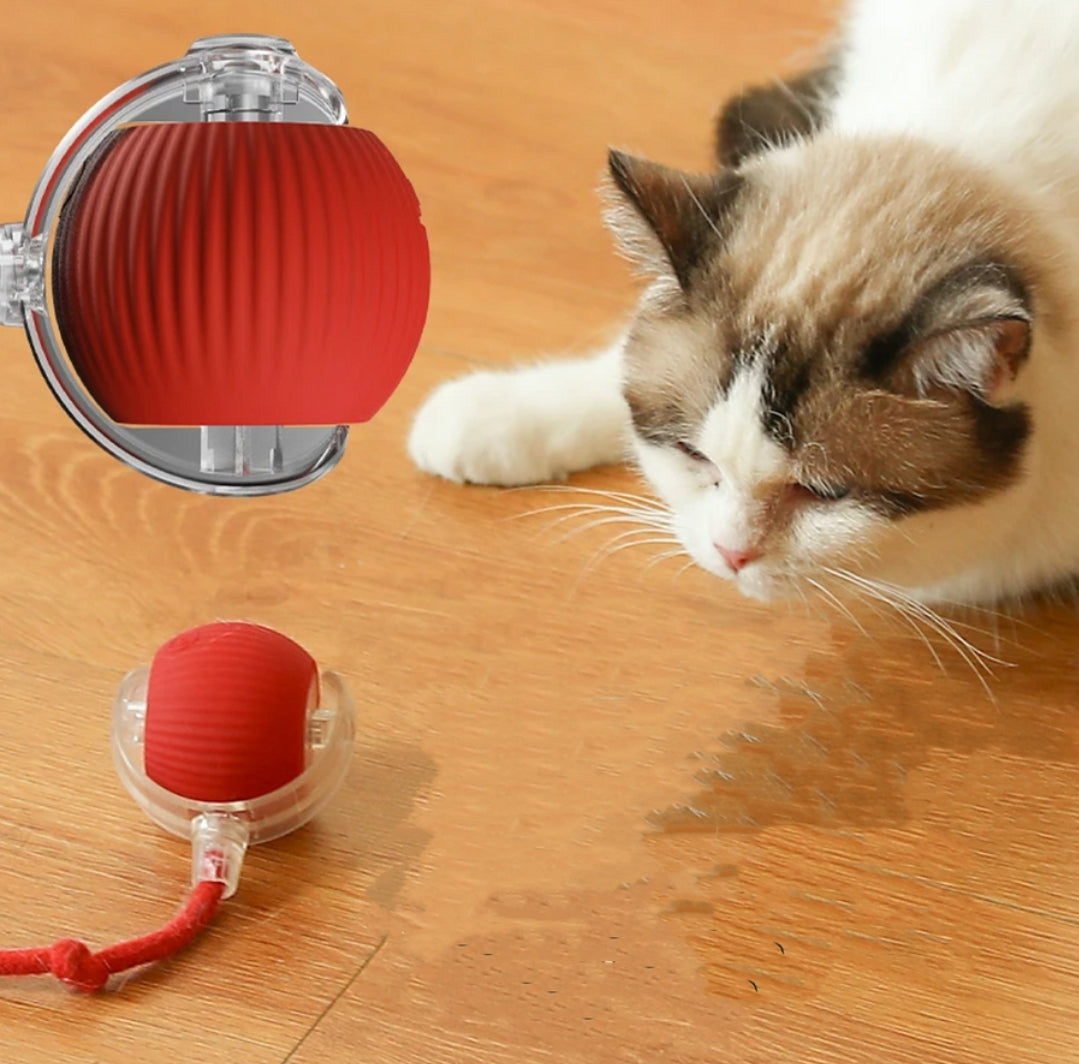 Rotating Smart Ball Cat Toy