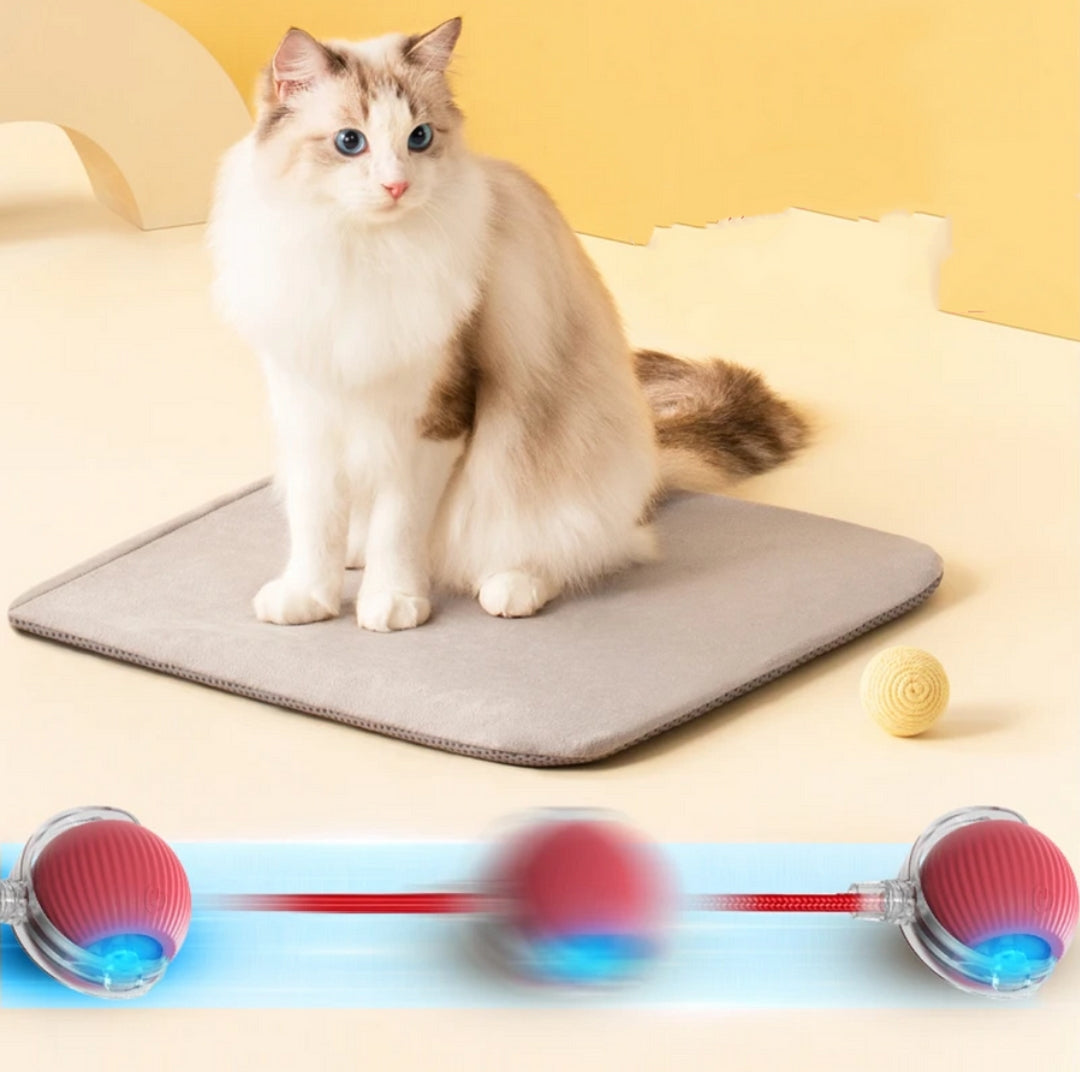 Rotating Smart Ball Cat Toy